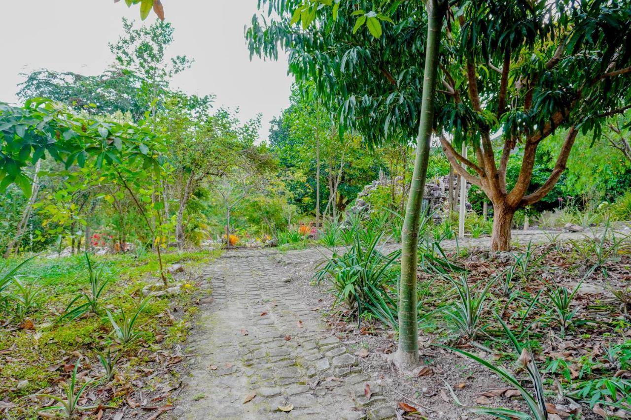 Pousada Kabana De Pedra Ibicoara Ngoại thất bức ảnh